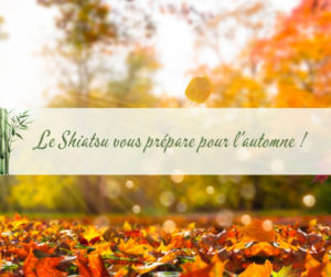 Image représentant l'automne avec les feuilles tombantes.